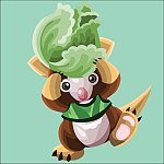 koala holding a cabbage