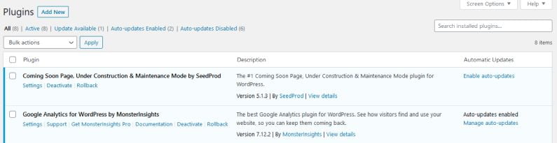 Screenshot showing enable update in WordPress plugins screen