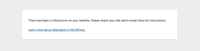 Screenshot showing WordPress critical error message